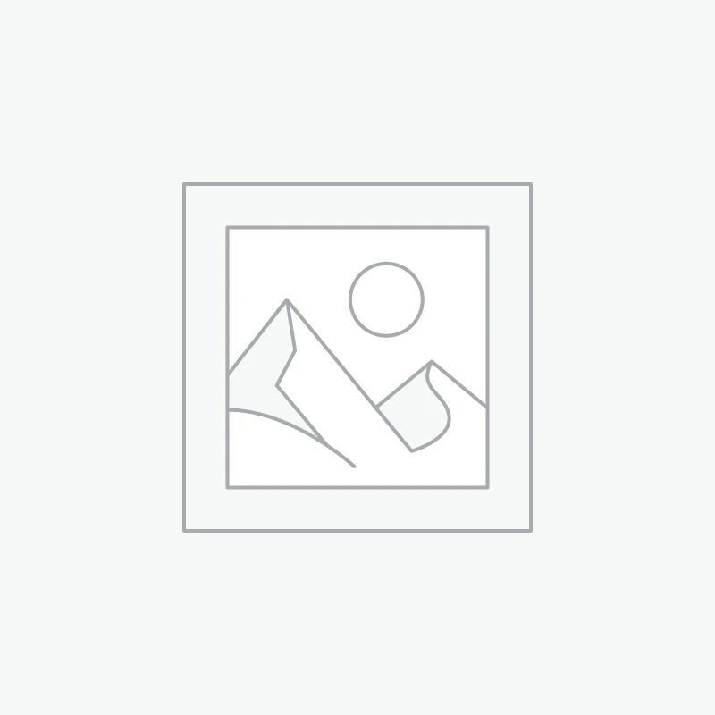 Nullam malesuada erat ut.