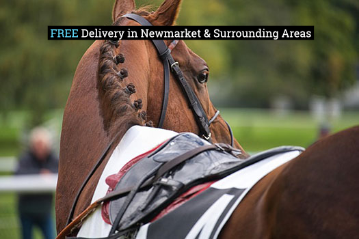newmarket free delivery