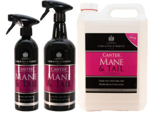 Canter Mane and Tail