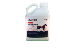 Plusvital Iron Syrup
